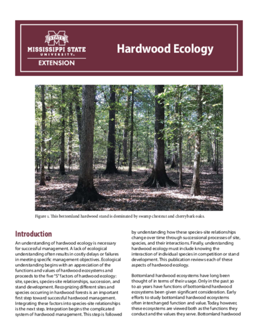 Preview of P3617_web
