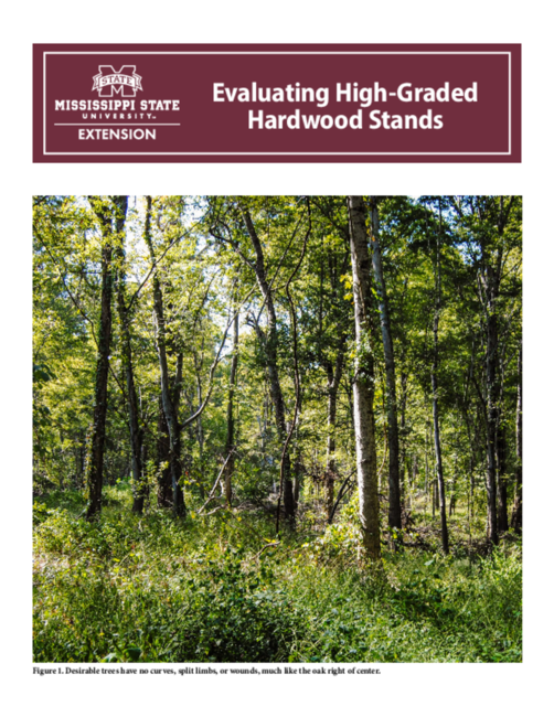 Preview of P1834_web