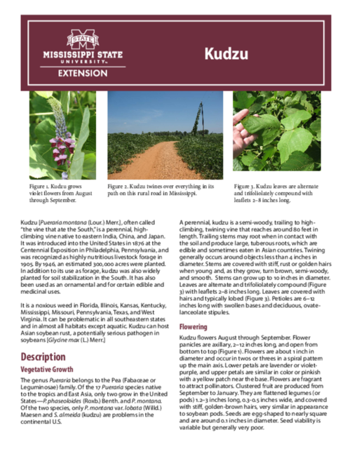 Preview of P3187_web