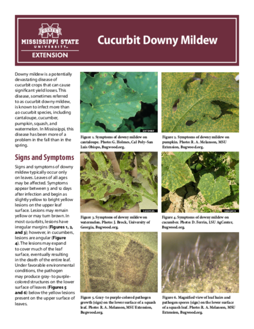 Preview of P3076_web