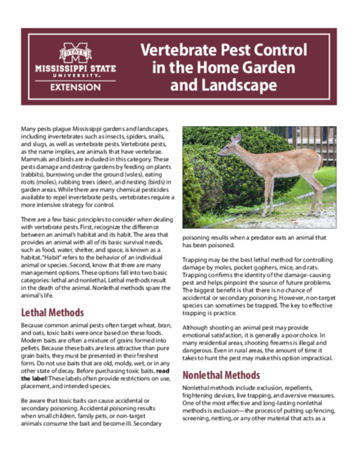 Preview of P3180_web