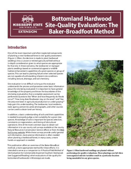 Preview of P4004_web