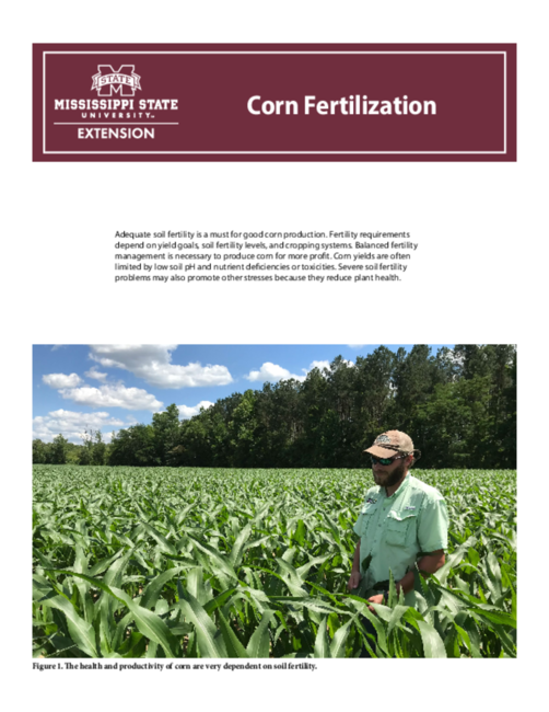 Preview of P3591_web