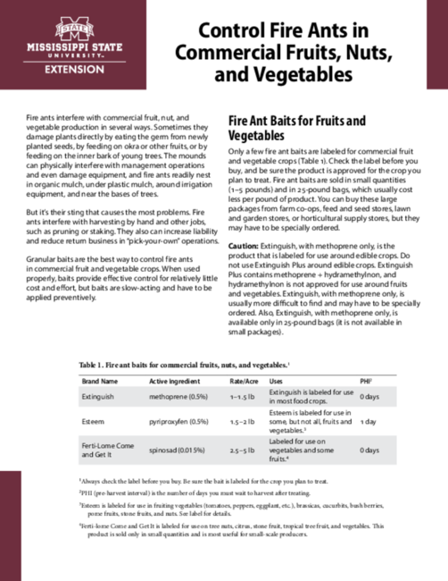Preview of P2494_web