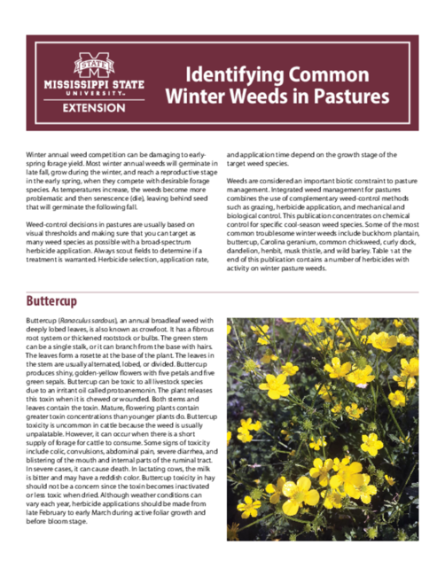 Preview of P3228_web