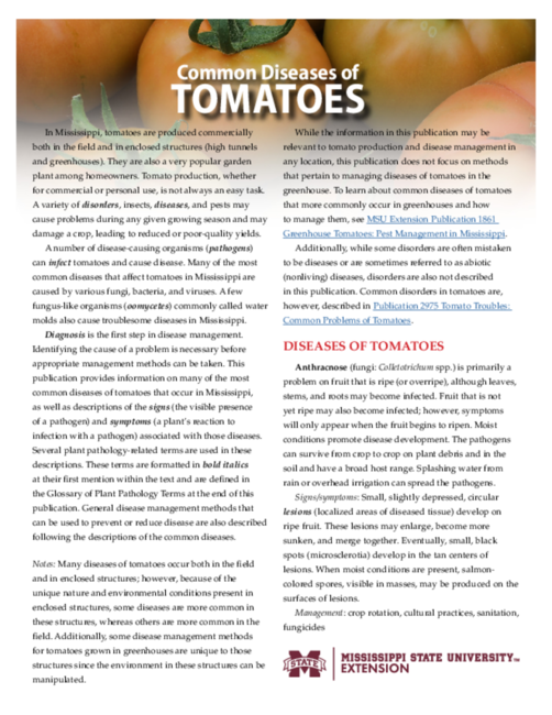 Preview of P3175_web
