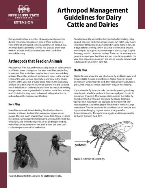 Preview of P2357_web