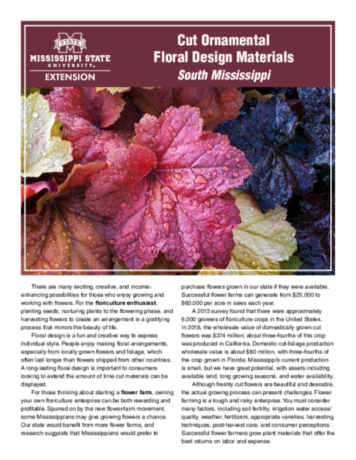 Preview of P3226_ext_15907_web