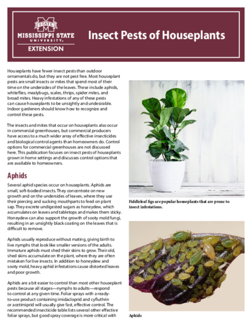 Preview of P2652