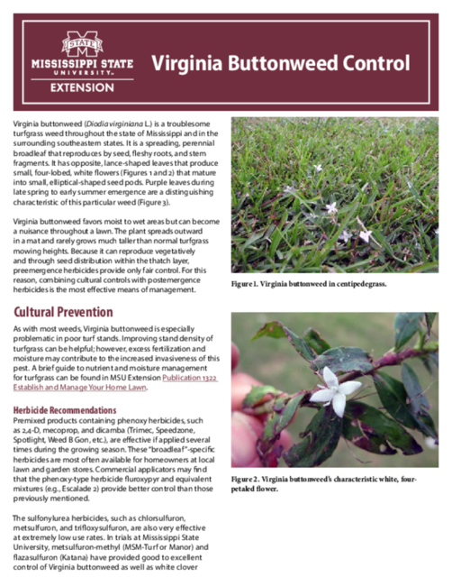 Preview of P3672_web