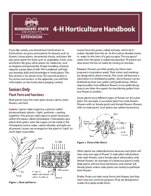 Preview of P1567_web