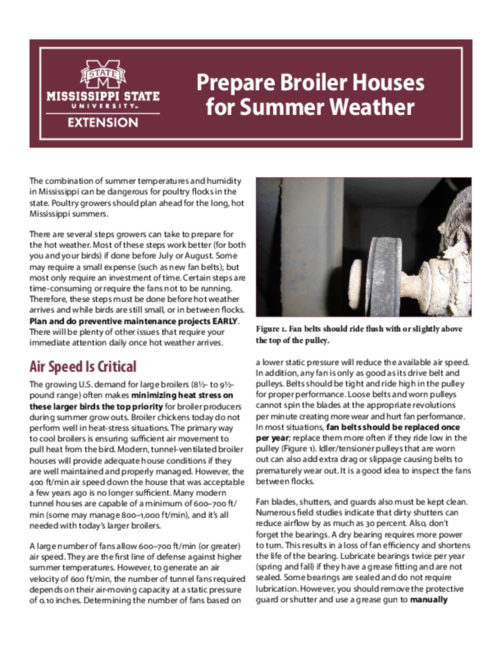 Preview of P2778_web