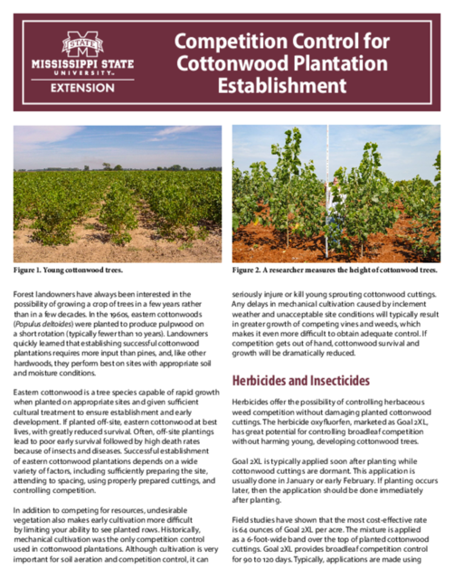 Preview of P3648_web