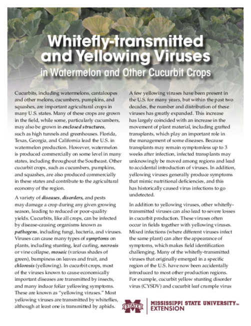 Preview of P3439_web_new