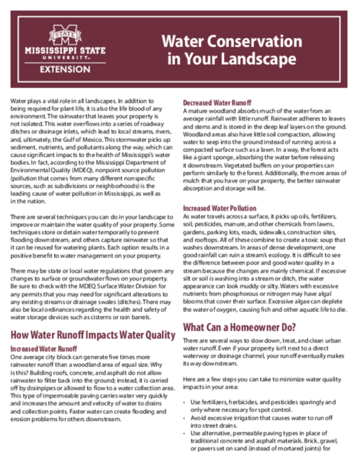 Preview of P3146_web