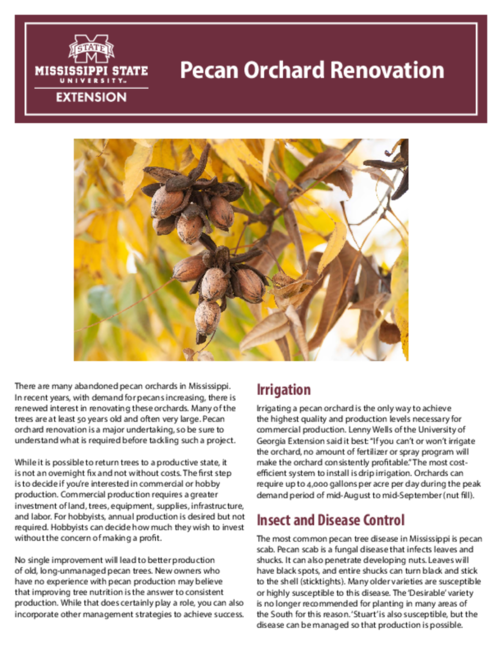 Preview of P3763_web