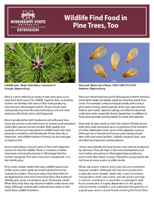 Preview of P3597_web