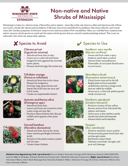 Preview of P4018_web
