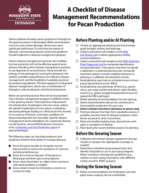 Preview of P4008_web