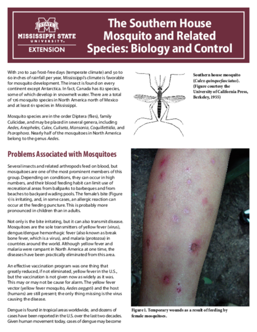 Preview of P2336_web