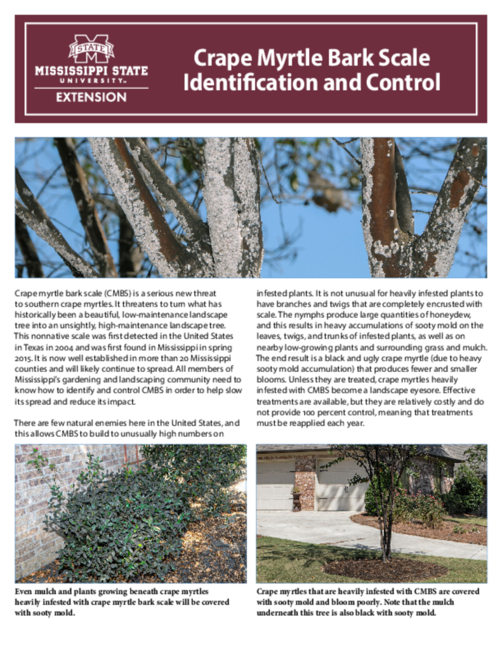 Preview of P2938_web