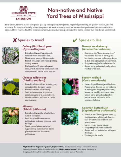 Preview of P4025_web