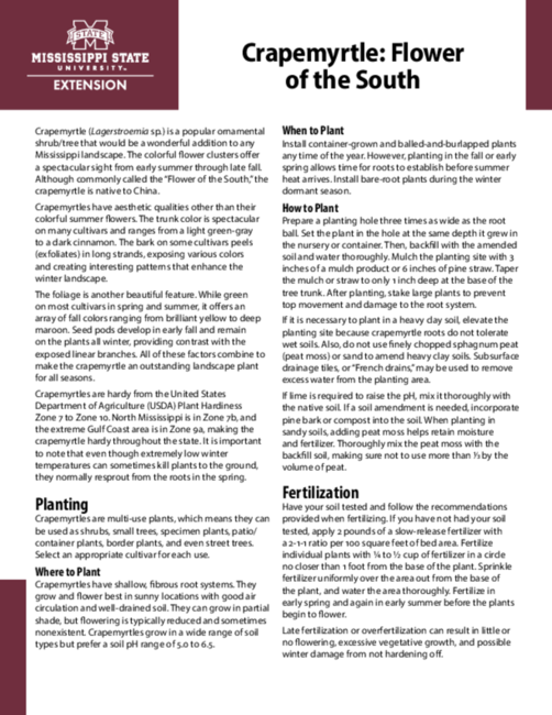 Preview of P2007_web
