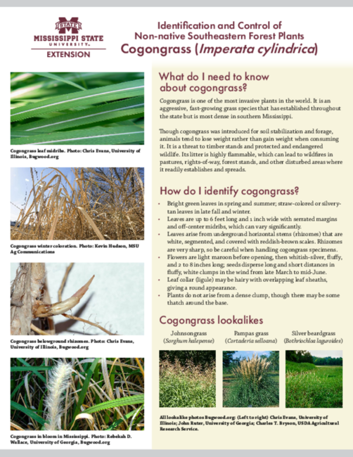 Preview of P4027_web