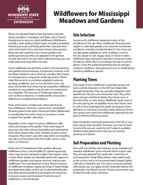 Preview of P1709_web