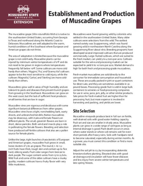 Preview of P2290_web