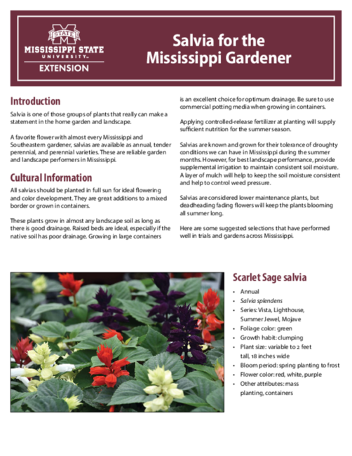 Preview of P3685_web