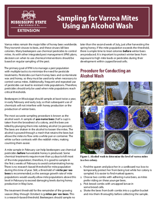 Preview of P4049_web
