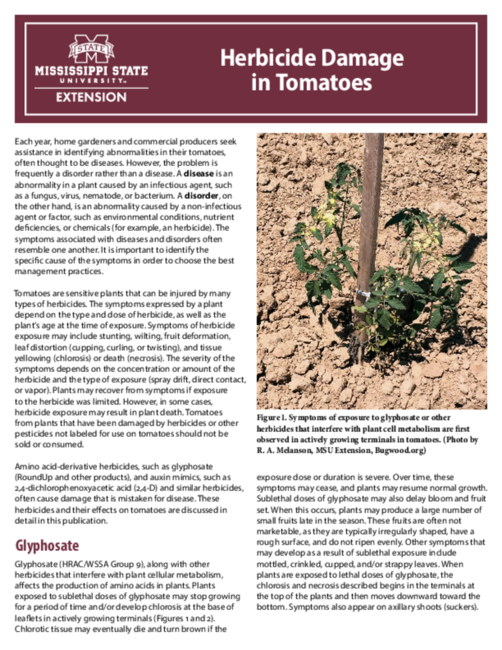 Preview of P3679_web