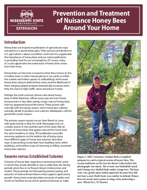 Preview of P3690_web