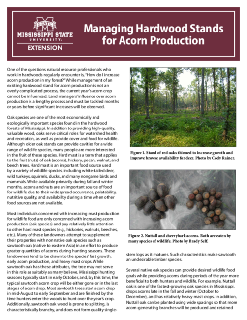 Preview of P2904_web