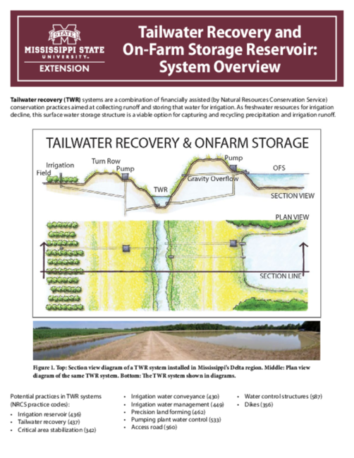 Preview of P3125_web_rev