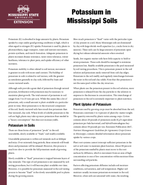 Preview of P3962_web