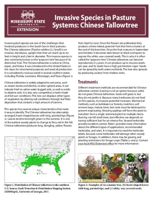 Preview of P3185_web