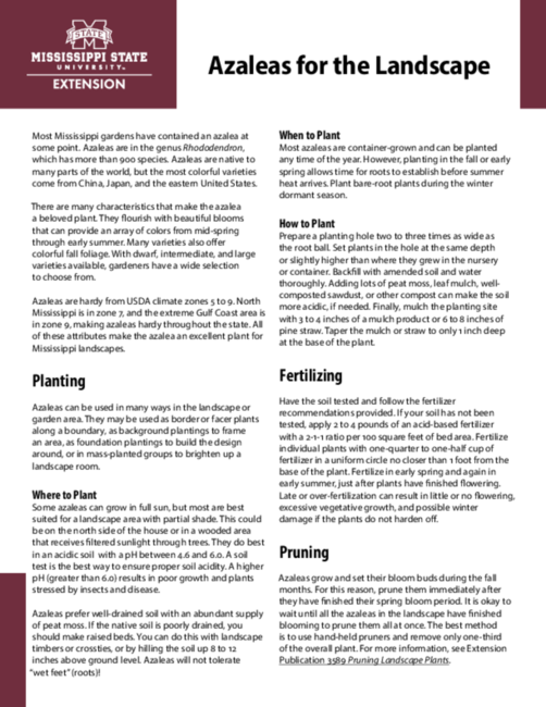 Preview of P3705_web
