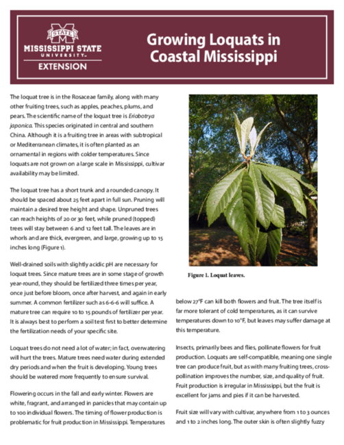 Preview of P3861_web