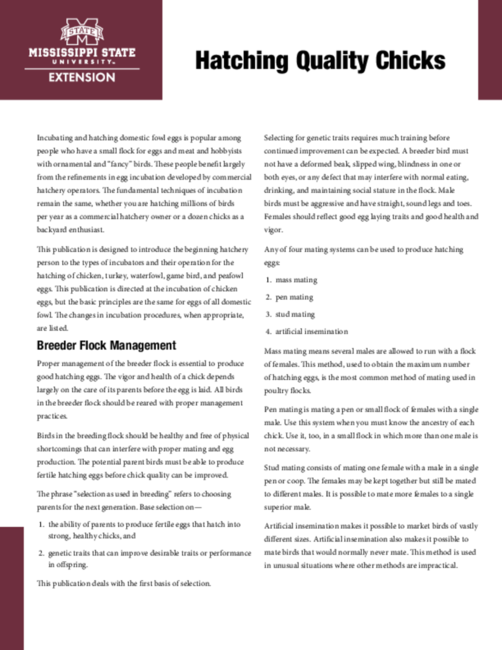 Preview of P1182_web-1