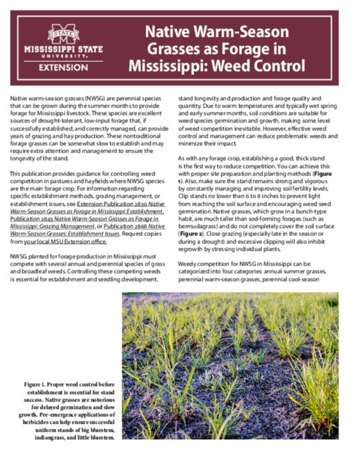 Preview of P2880_web