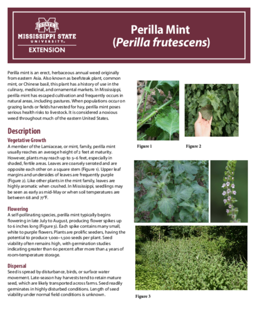 Preview of P3865_web