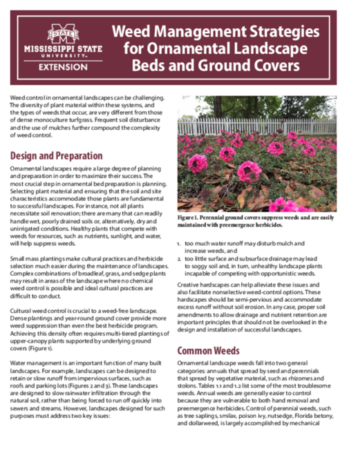 Preview of P3279_web