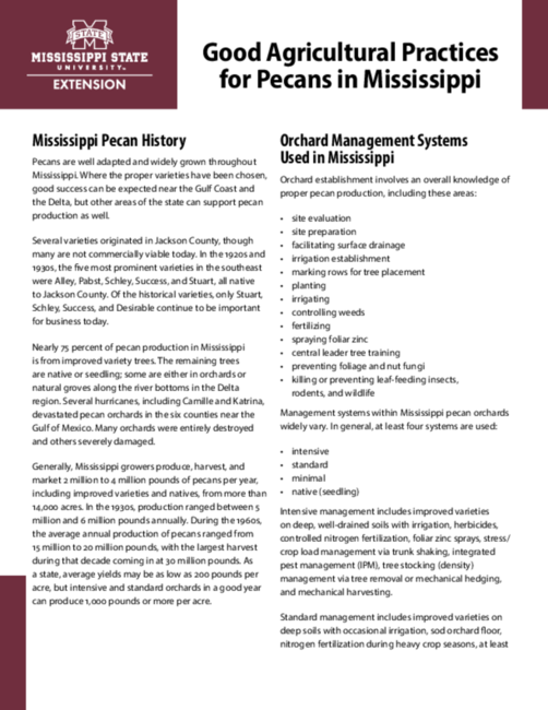 Preview of P2736_web