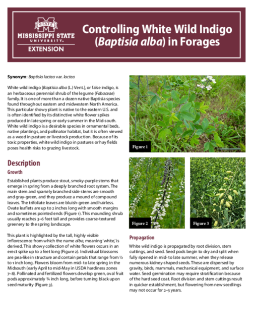 Preview of P3266_web