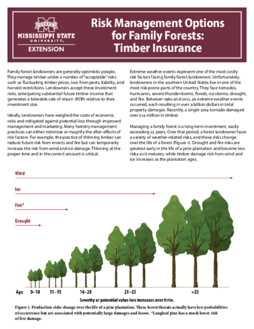 Preview of P2911_web