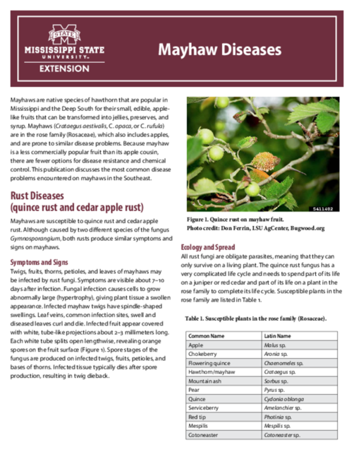 Preview of P2916_web