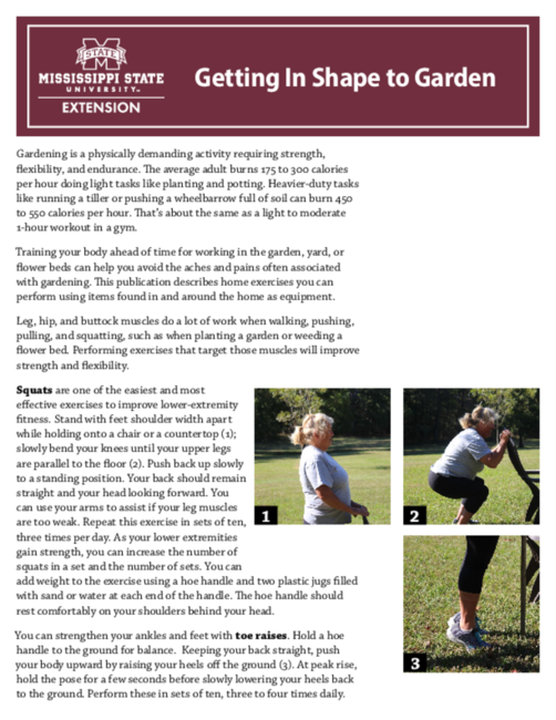Preview of P4078_web