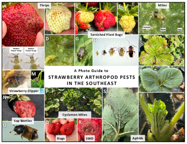 Preview of P4074_web